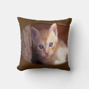 Katt Kudde