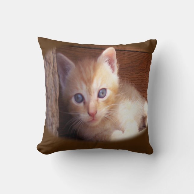 Katt Kudde (Framsida)