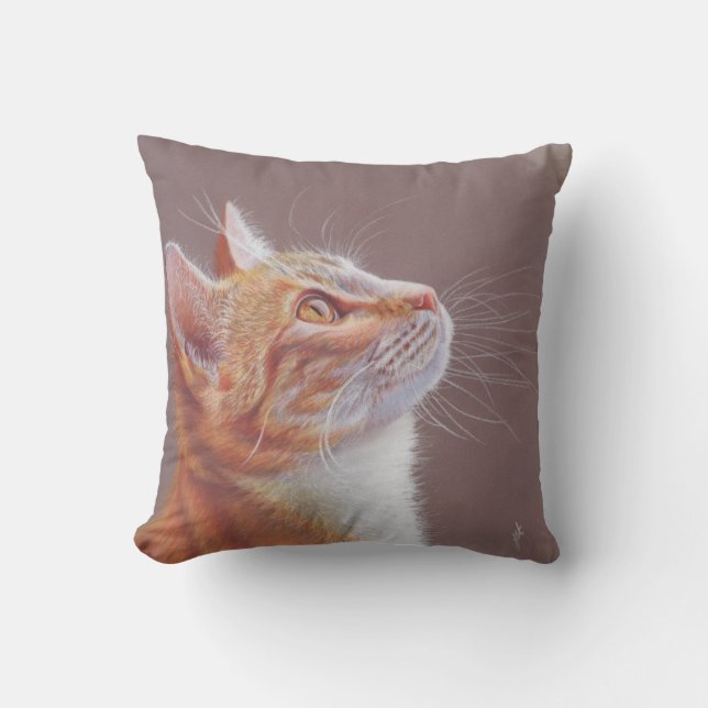katt  kudde (Framsida)