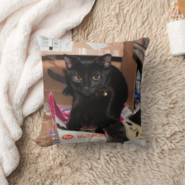 Katt Kudde (Filt)