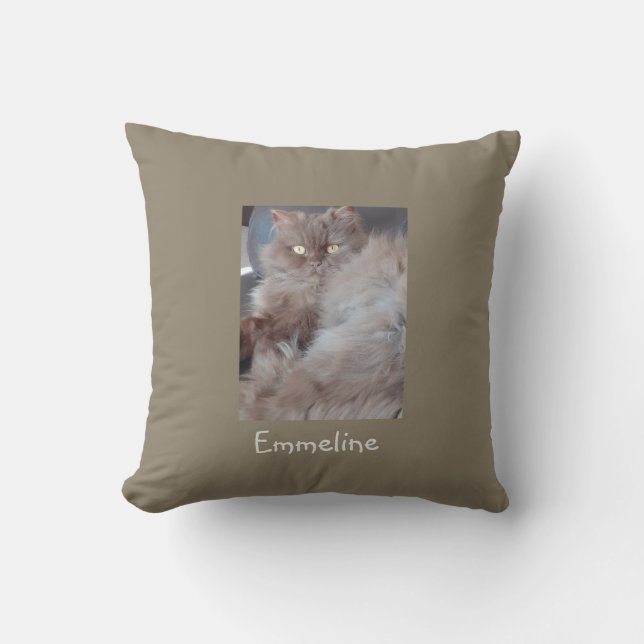 Katt Kudde (Framsida)