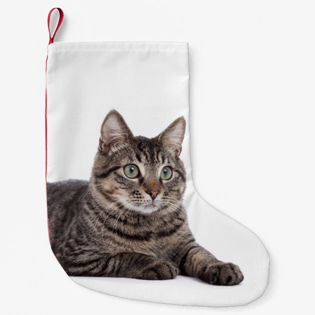 Katt Liten Julstrumpa (Framsidan)