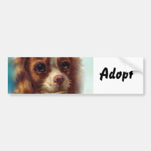 Katt Liten Katt Hund Adopt Bumperdekal Bildekal