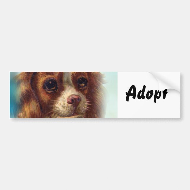 Katt Liten Katt Hund Adopt Bumperdekal Bildekal (Framsidan)
