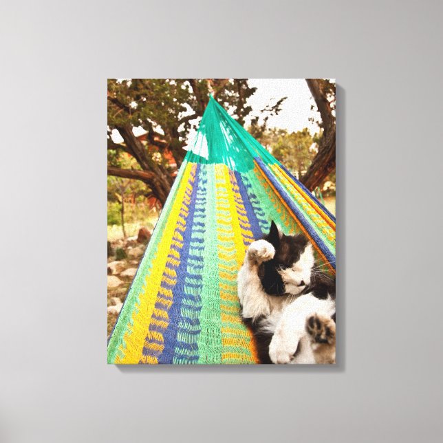 Katt ljugande på Mayan Mexican hammock Canvastryck (Framsida)