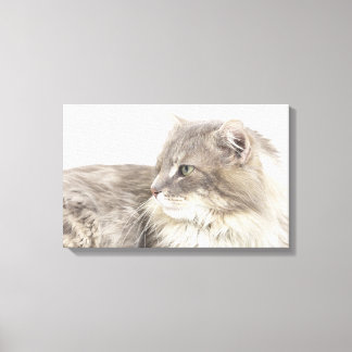 Katt ljuger ned canvastryck