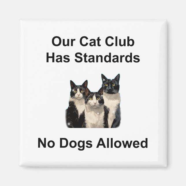 Katt Magnet (Framsidan)