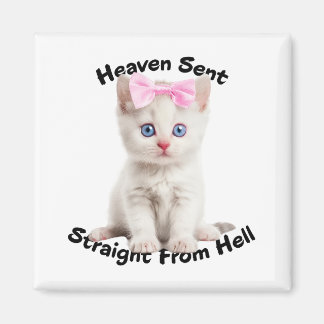 Katt Magnet
