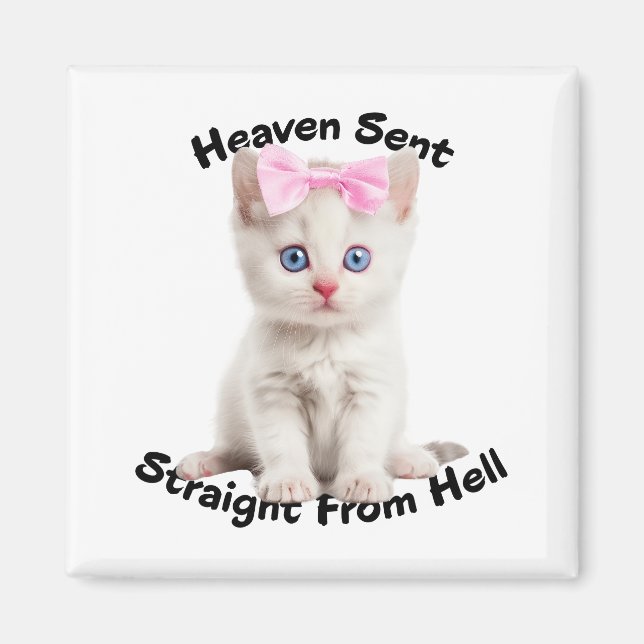 Katt Magnet (Framsidan)