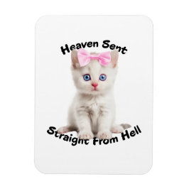 Katt Magnet