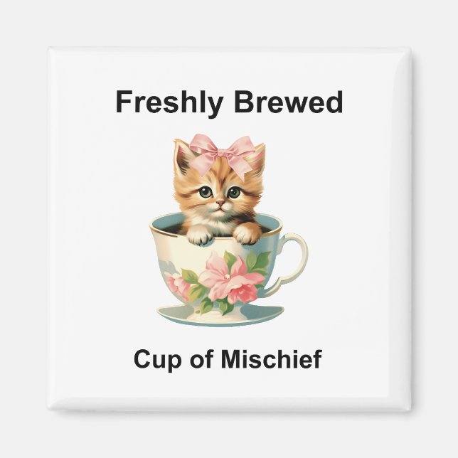 Katt Magnet (Framsidan)