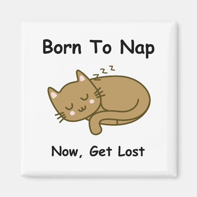 Katt Magnet (Framsidan)