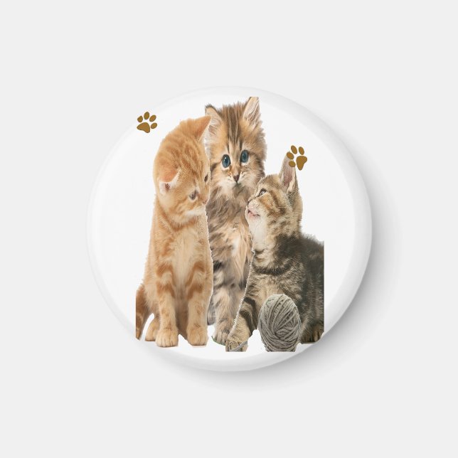Katt Magnet (Framsidan)