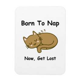 Katt Magnet