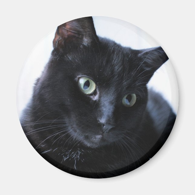katt magnet (Framsidan)