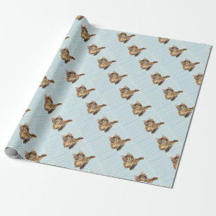 Katt Maine Coon Presentpapper