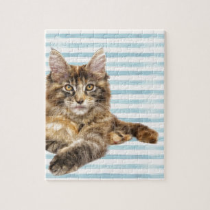 Katt Maine Coon Pussel