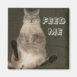 Katt "MATA ME" kvadratisk magnet