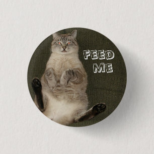 Katt "MATA ME", rund knapp