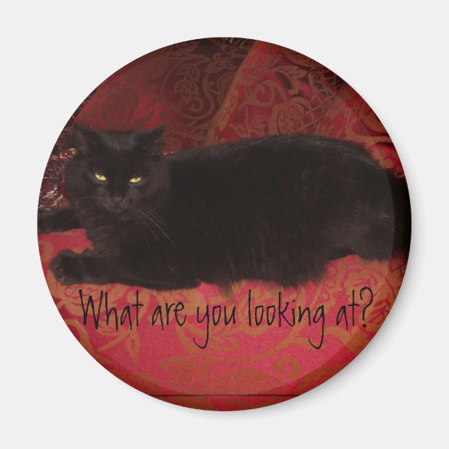Katt med Attitude Magnet (Framsidan)