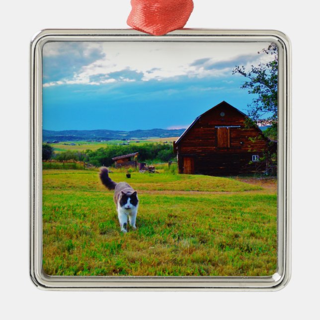 Katt med Barns Julgransprydnad Metall (Framsidan)