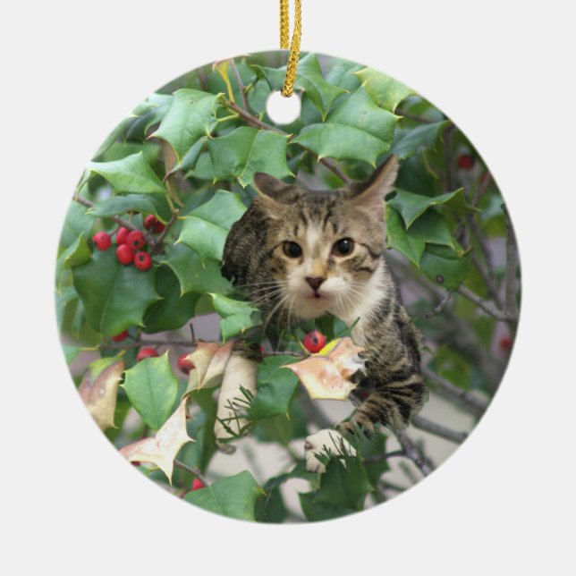 Katt med Berries Holly Ornament (Framsidan)