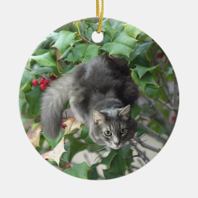 Katt med Berries Holly Ornament (Framsidan)