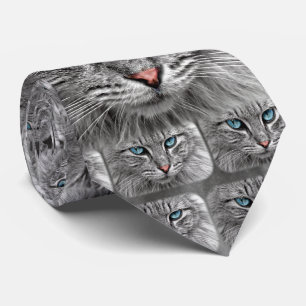 Katt med blåttögon rosa näs- och gråttpäls slips