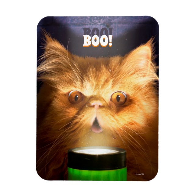 Katt med blixtljus magnet (Vertikal)