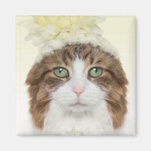 Katt med blommahatten magnet