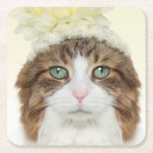 Katt med blommahatten underlägg papper kvadrat
