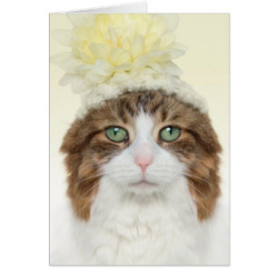 Katt med blommor hälsningskort