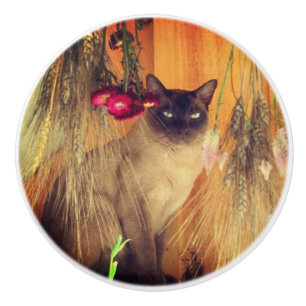 Katt med blommor knopp