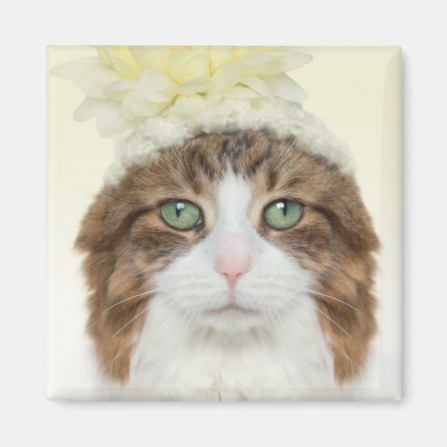 Katt med blommor magnet (Framsidan)