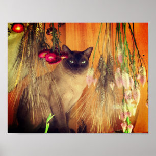 Katt med blommor poster