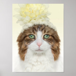 Katt med blommor poster