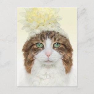 Katt med blommor vykort