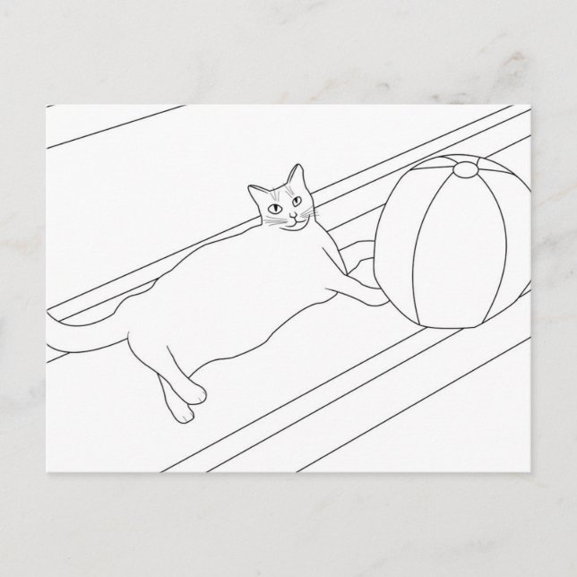Katt med boakboll, färgvykort vykort (Framsida)