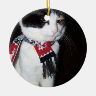 Katt med brokig päls iförd halsduk julgransprydnad keramik