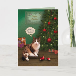 Katt med bruten julprydnad helgkort