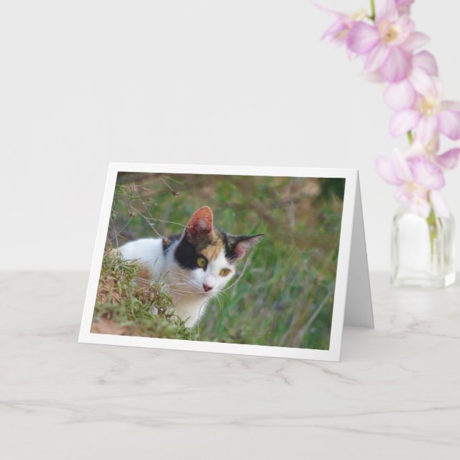 Katt med Calico Mönster Card Kort (Orkide)