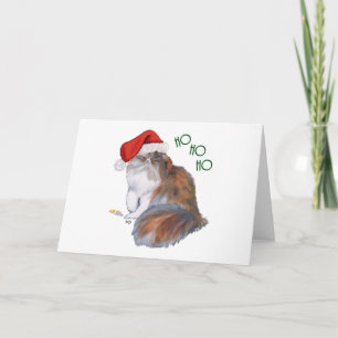Katt med calicoteeckning perser jul helgkort