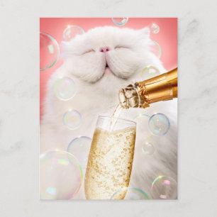 Katt med champagne inbjudan vykort