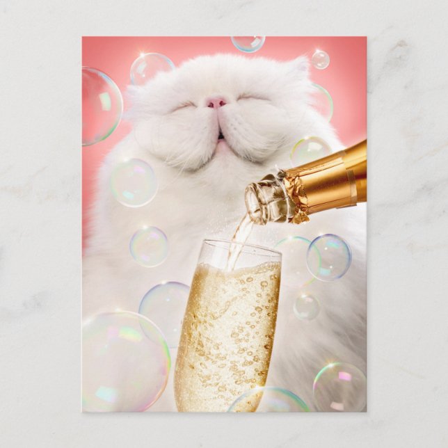Katt med champagne inbjudan vykort (Framsida)