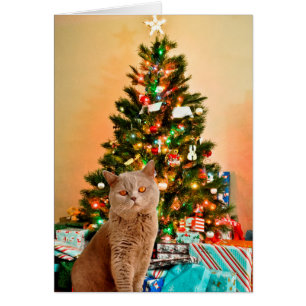 Katt med dekorerad julgran och presentlådor hälsningskort