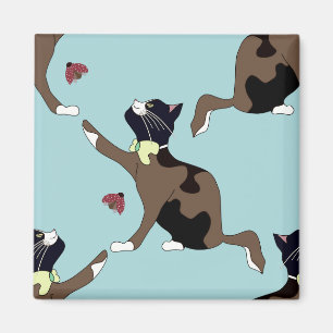 Katt med en bugg fångas en nyckelnos. magnet