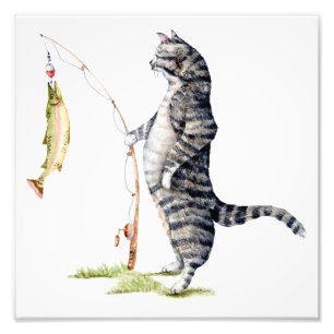 Katt med en fisk fototryck