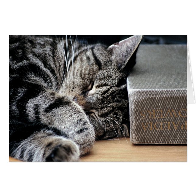Katt med ett Bok-kort för Bra Hälsningskort (Framsidan Horizontal)