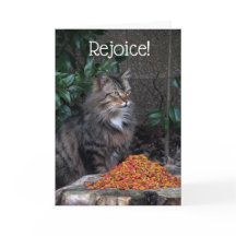 Katt med ett påskmirakelkort