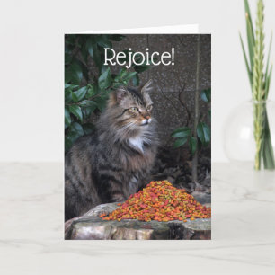 Katt med ett påskmirakelkort helgkort